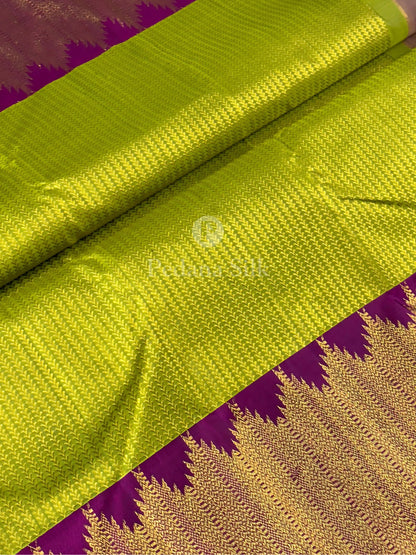 The Golden Garden of Temple Border Kanjivaram Silk