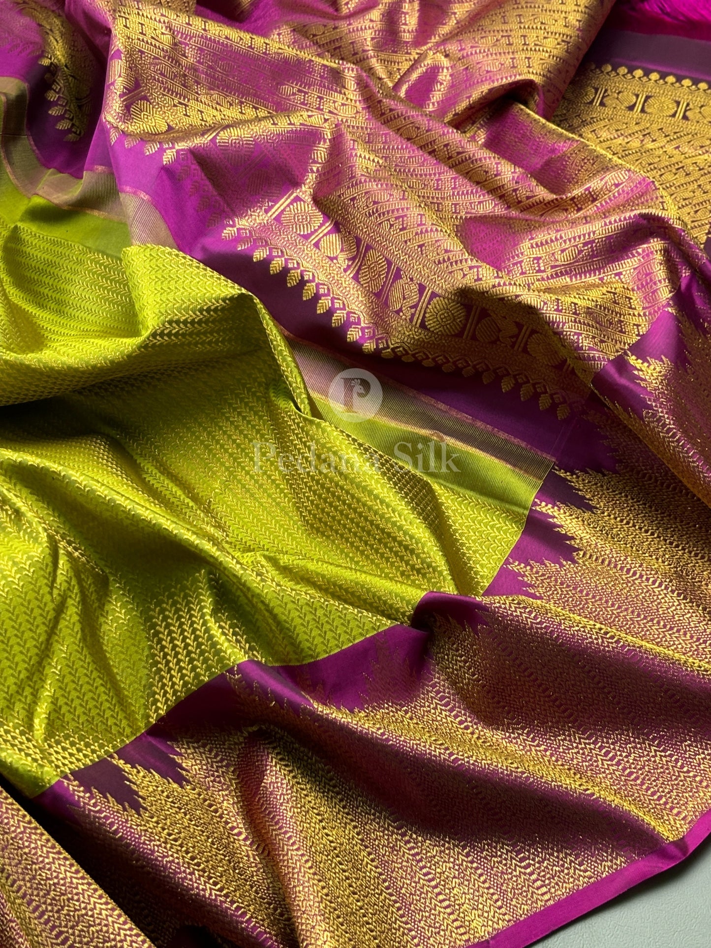 The Golden Garden of Temple Border Kanjivaram Silk