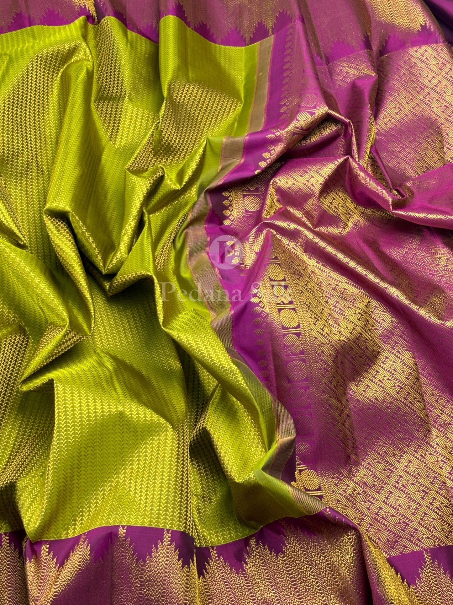 The Golden Garden of Temple Border Kanjivaram Silk