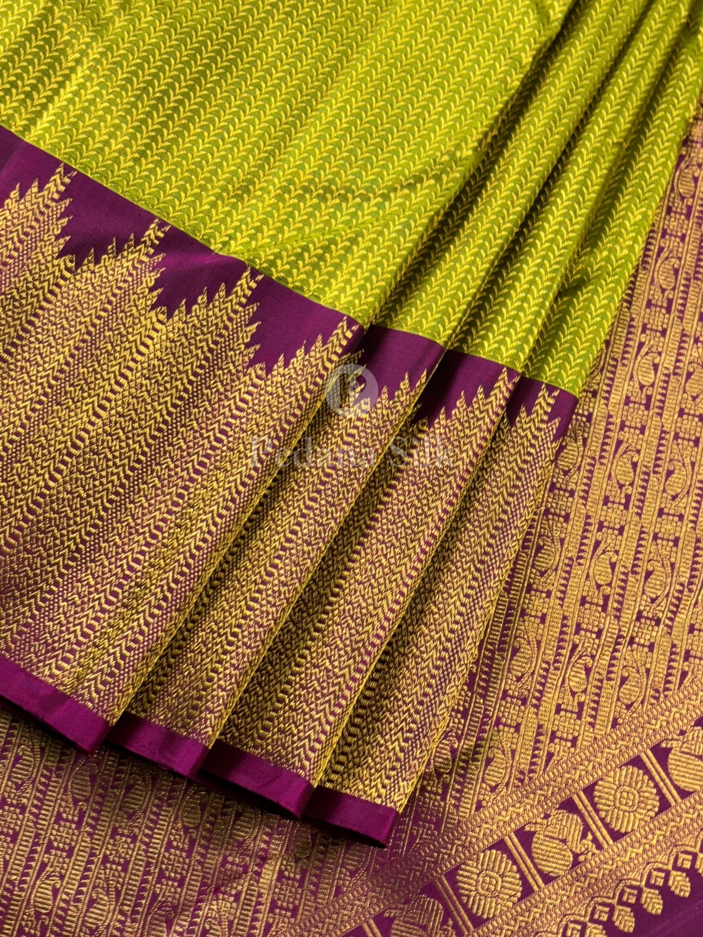 The Golden Garden of Temple Border Kanjivaram Silk