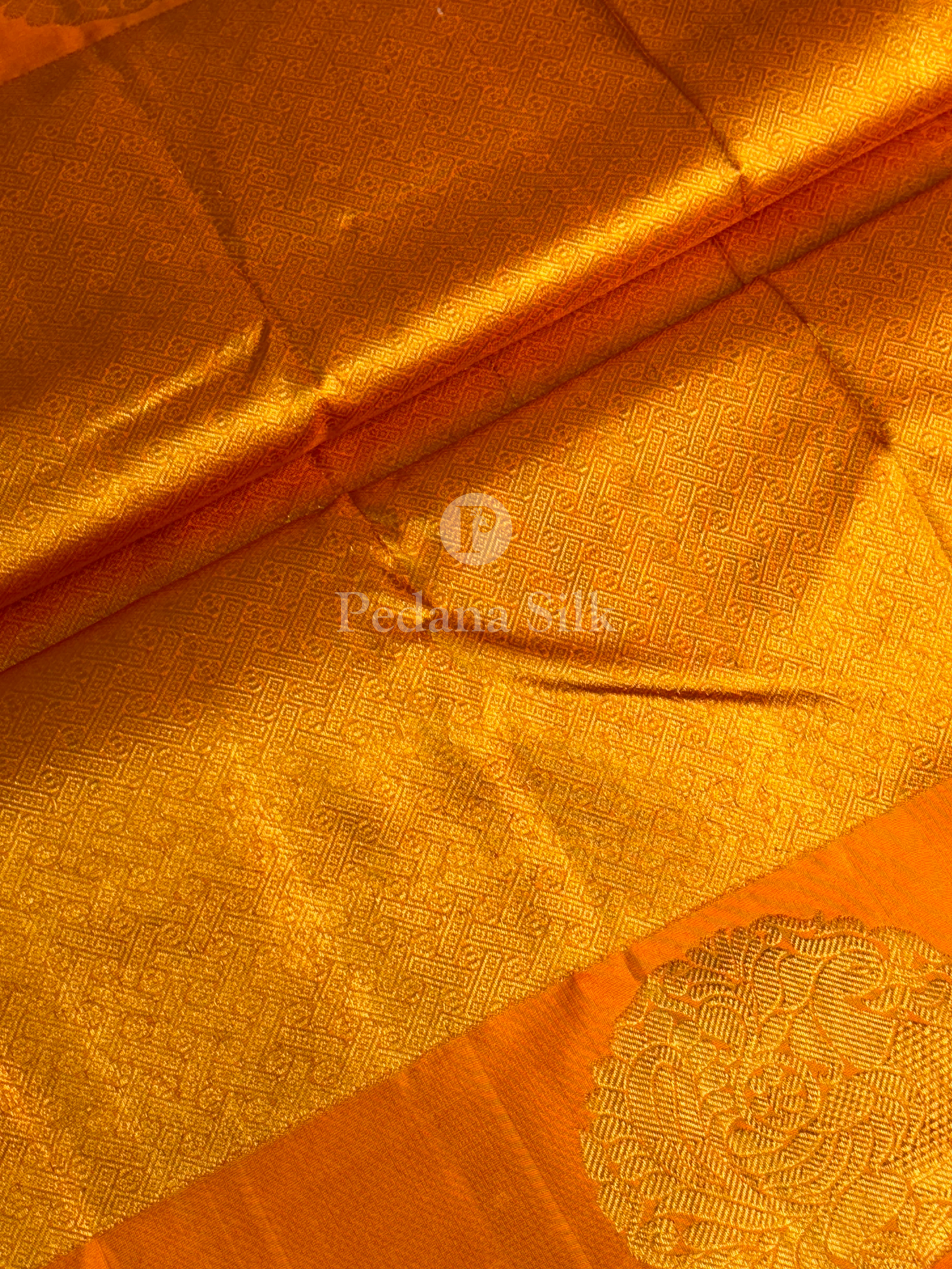 A Citrus Carnival Three Hued Kanjivaram Silk Saree